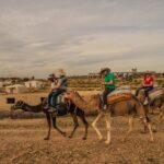 Agafay desert - Quad, camel, and dinner show - Who Should Consider This Tour?