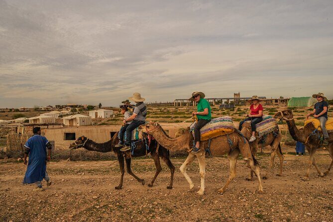 Agafay desert - Quad, camel, and dinner show - Who Should Consider This Tour?