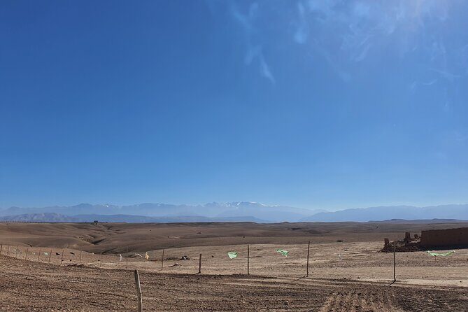 Agafay Desert, Sunset, Camel Ride And Diner - Who Should Consider This Tour?