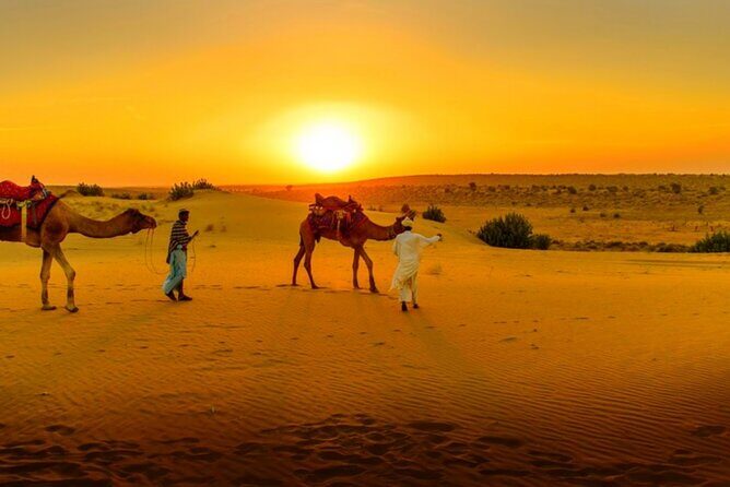 Agafay Desert Sunset, Camel Ride and Dinner from Marrakech - Starting from Marrakech: Comfort and Convenience