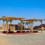 Agafay Desert Walk with Lunch and Pool Access - What Makes This Tour Stand Out?