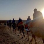 Agafay Half Day Rocky Desert Experience  Quad Bike & Camel Ride - The Itinerary Breakdown: What To Expect