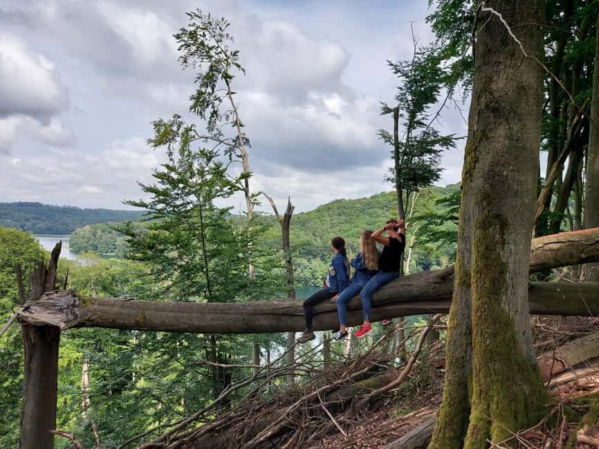 agów Landscape Park Horseriding Tour - Who Would Enjoy This Tour?
