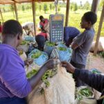 Agro-Tourism Tea Workshop in Nandi Hills - Why Value Matters in This Experience