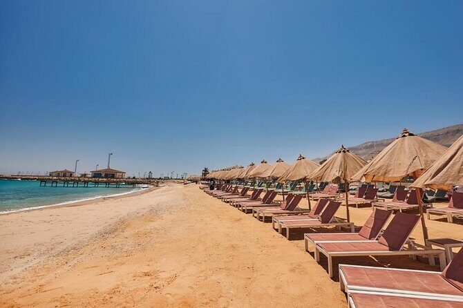 Ain Sokhna Dayuse From Cairo - Luxury 5 Stars Hotel - Value and Practical Insights