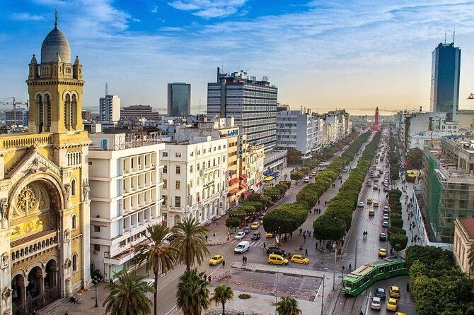 Airport Tunis Carthage Private Transfer to/from Hammamet - What Reviewers Say
