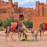 Ait ben haddou and Ouarzazate day trip from Marrakech - Practical Details