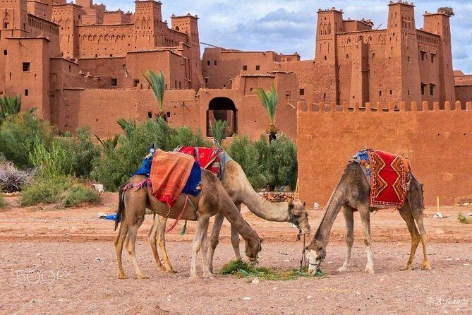 Ait ben haddou and Ouarzazate day trip from Marrakech - Practical Details