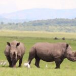 Akagera National Park Guided Day Pass - Final Thoughts: Who Should Consider This Tour?
