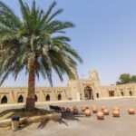 Al Ain City Sightseeing tour with Lunch from Dubai - Why This Tour Offers Real Value