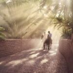 Al Ain City Tour from Dubai - Practical Details and Tips for Your Trip