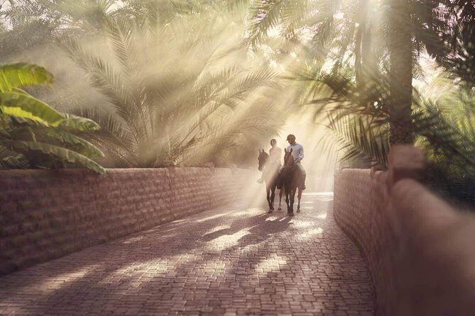 Al Ain City Tour from Dubai - Practical Details and Tips for Your Trip