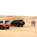Al Ain Desert Safari with Buffet Dinner - Who Will Enjoy This Tour?