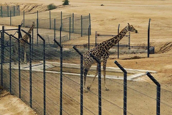 Al Ain Garden City Tour From Dubai - An In-Depth Look at the Al Ain Garden City Tour