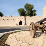 Al Ain Tour from Abu Dhabi - Why Choose the Al Ain Tour from Abu Dhabi?