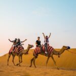 Al Marmoom Oasis Experience with Bedouin Dinner - Practical Considerations