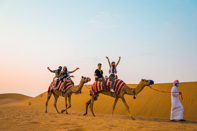 Al Marmoom Oasis Experience with Bedouin Dinner - Practical Considerations