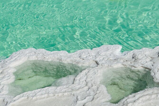 Al Wathba Fossil Dunes and Salt Lake Trip from Abu Dhabi - Who Should Book This Tour?