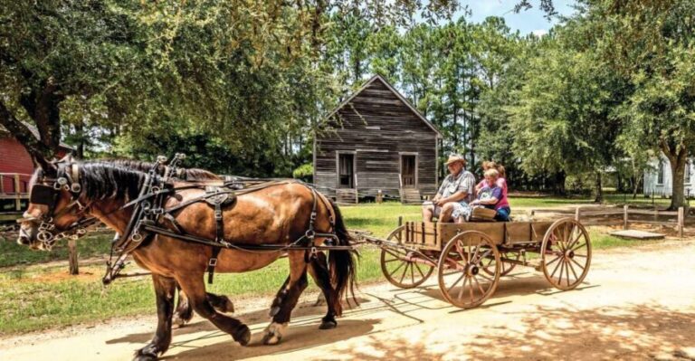 Alabama: Dothan-Eufaula Area Multi-Attraction Pass - Blue Springs State Park in Clio