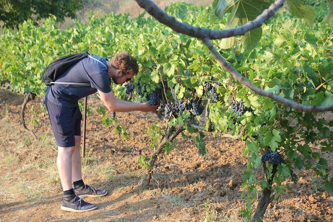 Albanian Highlights - UNESCO sites ,Nature and Food tour - Authentic Experiences & What Makes This Tour Stand Out