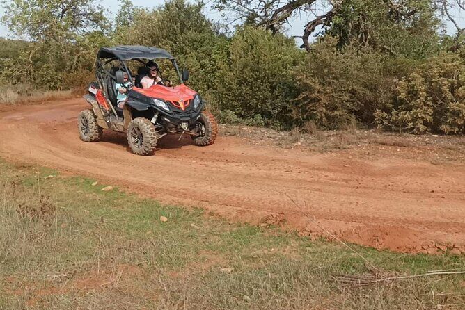 Albufeira 1 hour Off-Road Tour Buggy Adventure Tour - Who Will Love This Tour?