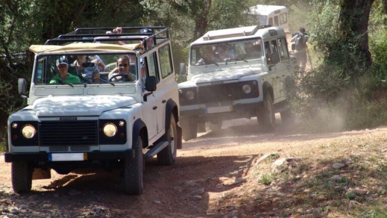 Albufeira: 6 Hour Jeep Tour with Lunch - Practical Details and Tips