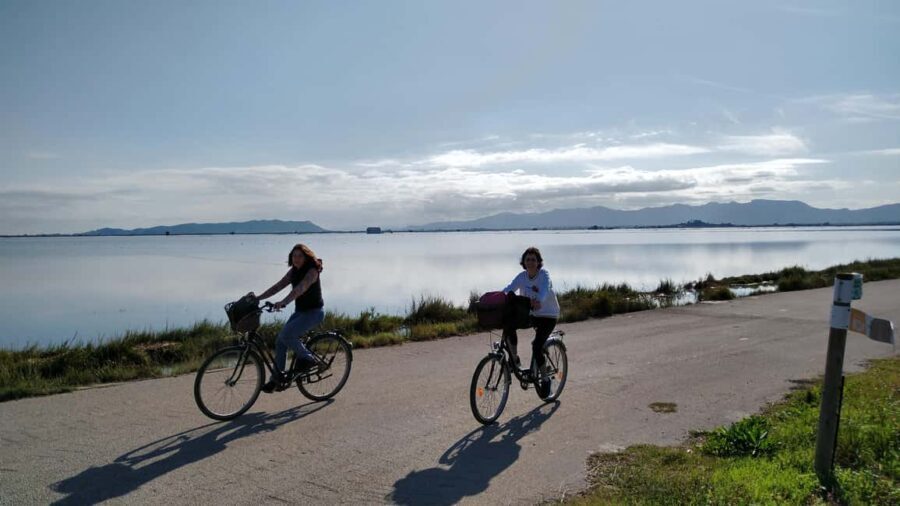 Albufera Complete Bike Tour-Rice Fields, Lake, Boat & Paella - Why This Tour Works for Different Travelers