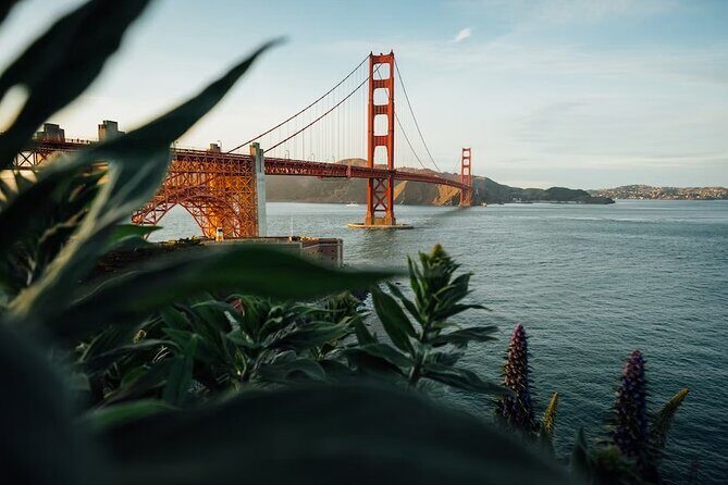 Alcatraz Island Tour Package - What You Can Expect at Alcatraz
