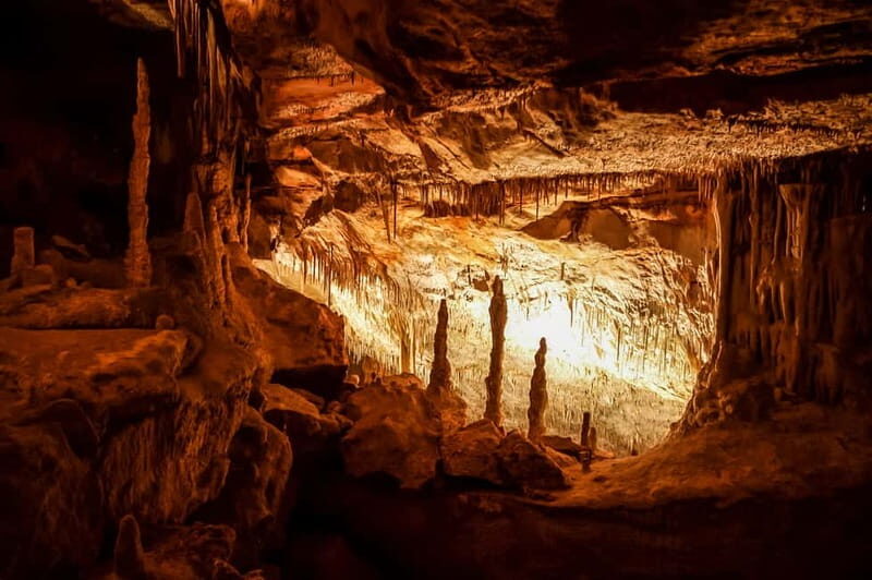 Alcudia: Caves of Drach Tour from the North with Boat Trip - The Lake Martel Experience and Music Concert