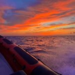 Alcudia: Dolphin Watching at Sunrise with Speedboat - Who Will Love This Tour?