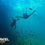 Alcudia: Kayaking Tour with Snorkel & Sea Cave Swim - The Highlights in Detail