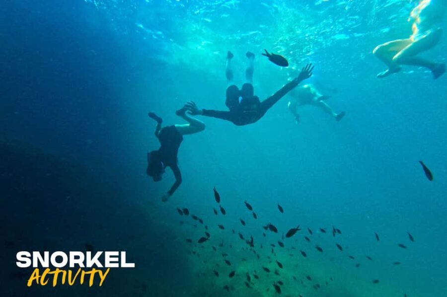 Alcudia: Kayaking Tour with Snorkel & Sea Cave Swim - The Highlights in Detail