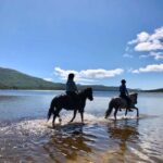 Ålesund: Sunnmøre Horseback Riding Tour with Guide - An In-Depth Look at the Sunnmøre Horseback Riding Experience