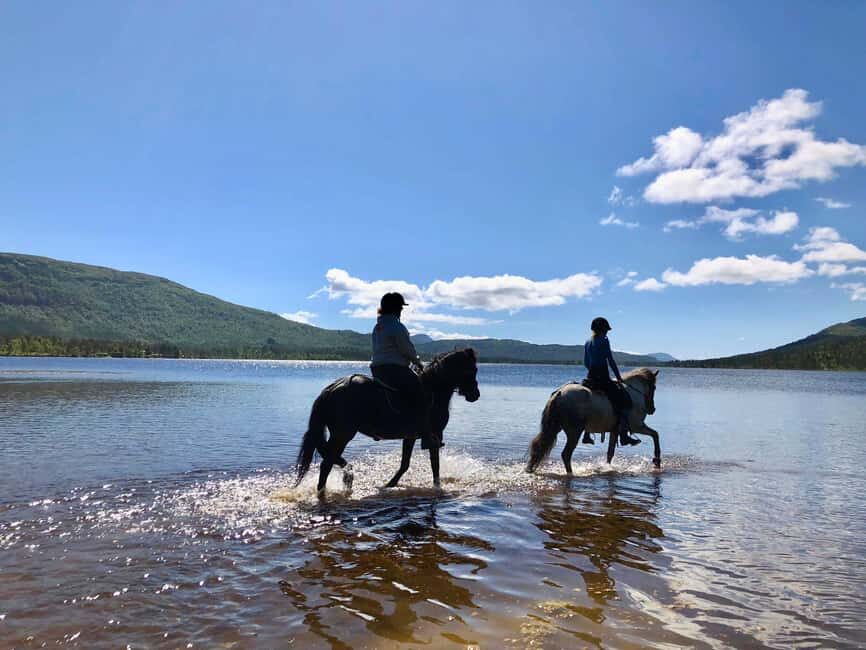 Ålesund: Sunnmøre Horseback Riding Tour with Guide - An In-Depth Look at the Sunnmøre Horseback Riding Experience