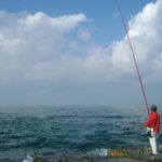 Alexandria Day Trip Including Lunch from Cairo - Who Should Consider This Tour?