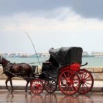Alexandria Horse Carriage Tour - Summary of the Experience