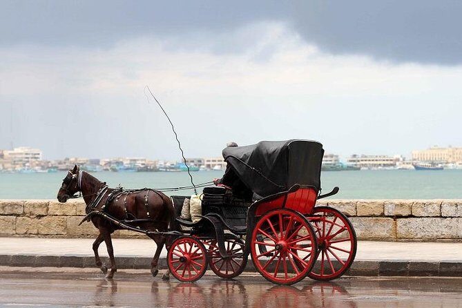 Alexandria Horse Carriage Tour - Summary of the Experience