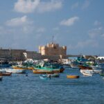 Alexandria Private Round Trip Day Tour - A Closer Look at the Itinerary