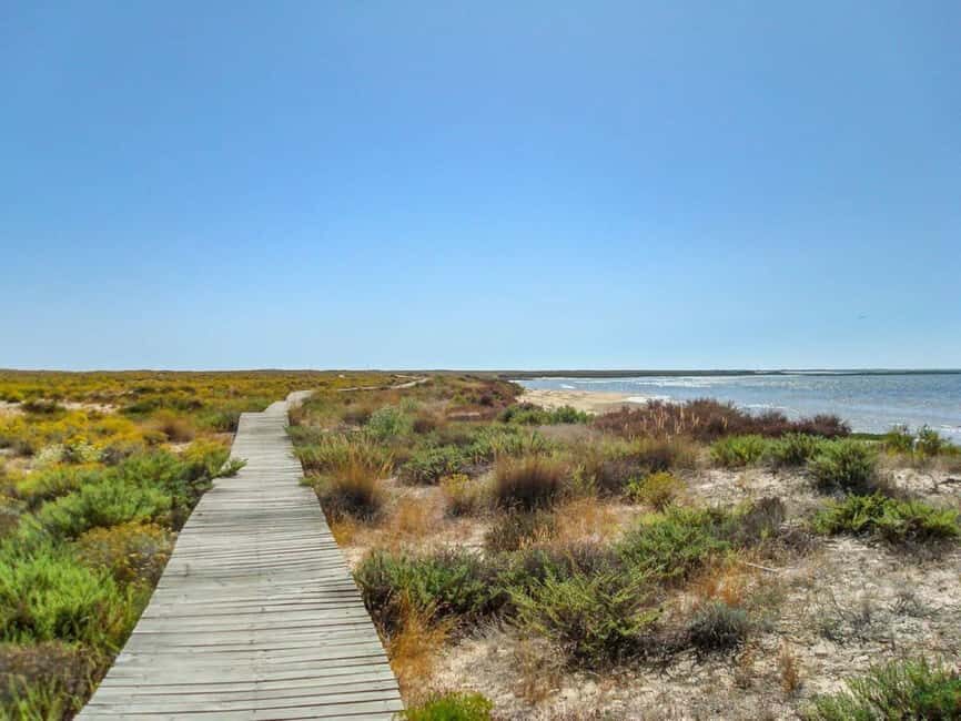 Algarve: Olhão Highlights Tour and Ria Formosa Boat Trip - Who Should Consider This Tour?