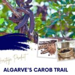 ALGARVE'S CAROB TRAIL - Exploring the Carob Plantations