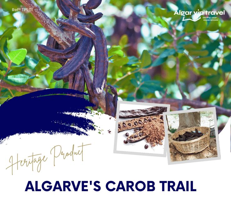 ALGARVE'S CAROB TRAIL - Exploring the Carob Plantations