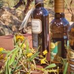 Alghero: Olive Grove Visit with Olive Oil Tasting - Practical Details and Logistics
