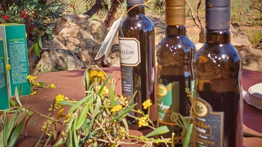 Alghero: Olive Grove Visit with Olive Oil Tasting - Practical Details and Logistics