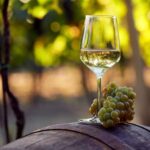 Alicante and Elche: Guided tour of winery + wine tasting / private transportation - Who Will Love This Tour?