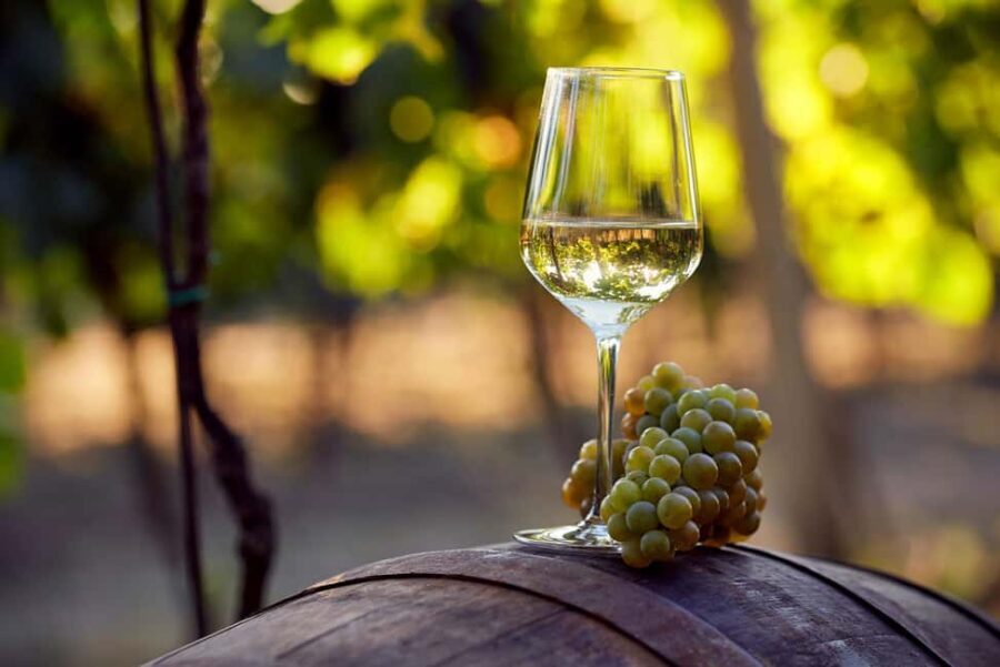 Alicante and Elche: Guided tour of winery + wine tasting / private transportation - Who Will Love This Tour?