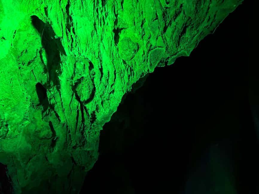 Alicante: Canelobre Caves and Busot Tour - Analyzing the Value