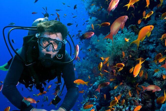 All in One intro Diving & Snorkeling & Water Sport -Hurghada - Who Would Love This Tour?
