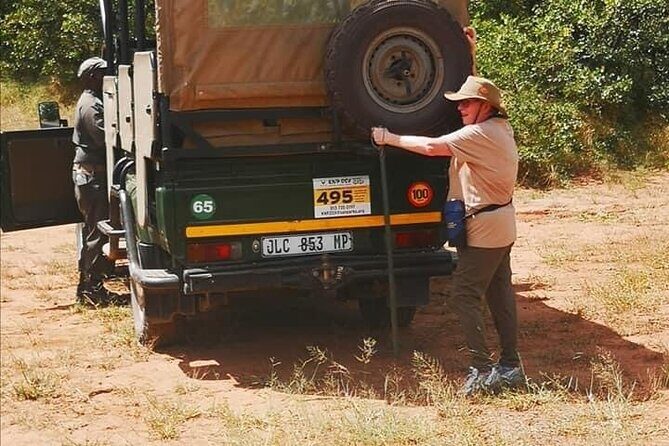 All Inclusive 2 Day Kruger Safari from Nelspruit - Day 2: Dawn Safari and Return