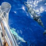 All inclusive day sailing tour from Naxos to the small cyclades - Final Thoughts