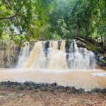 All Inclusive Full Day Tour: Chamarel Rhumrie,7-Coloured & Lunch - Honest Insights from Past Travelers